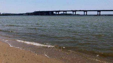 甲子園浜　デイゲーム　５０ｃｍ